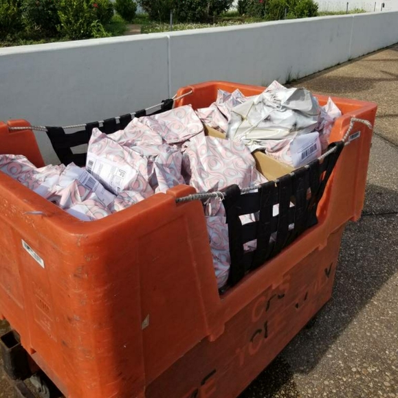 Meet your Posher, Elizabeth - Picture 5 of 5